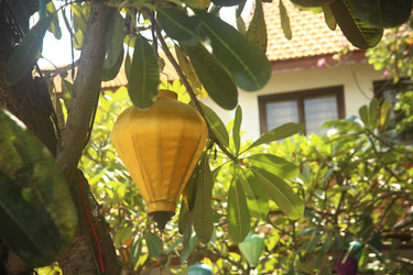 Similar image 22349604