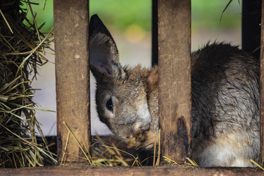 Similar image 22349510