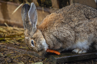 Similar image 22349512