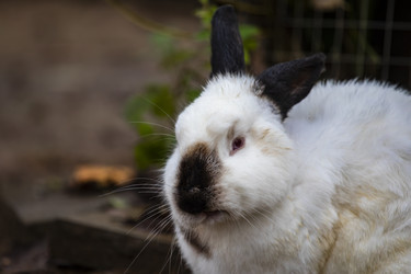 Similar image 22349516