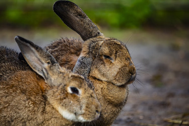 Similar image 22349518