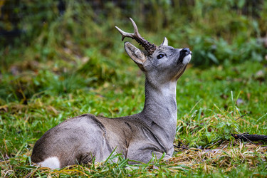 Similar image 22349519