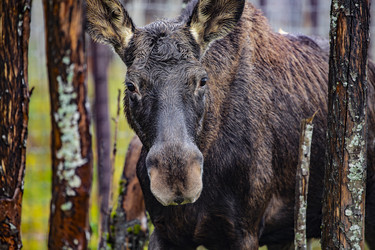 Similar image 22349521