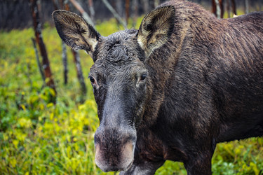 Similar image 22349524