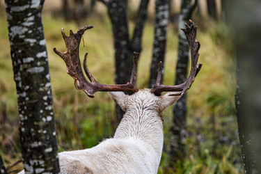 Similar image 22349530