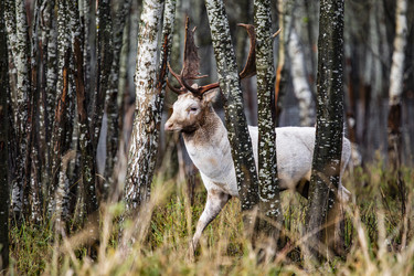 Similar image 22349532