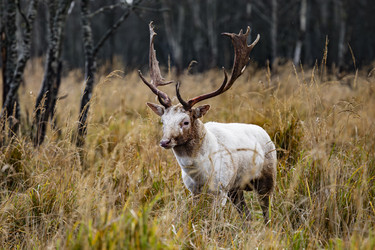 Similar image 22349535