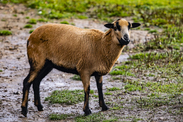 Similar image 22349536