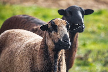 Similar image 22349538