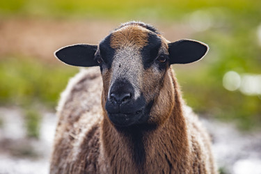 Similar image 22349541