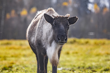 Similar image 22349542