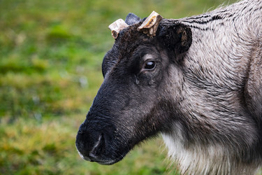 Similar image 22349544