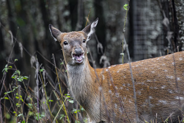 Similar image 22349551