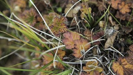 Similar image 22369622