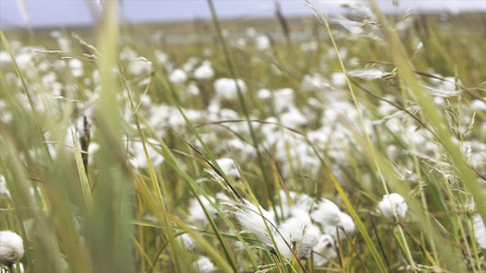 Similar image 22369648