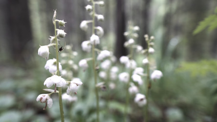 Similar image 22369842