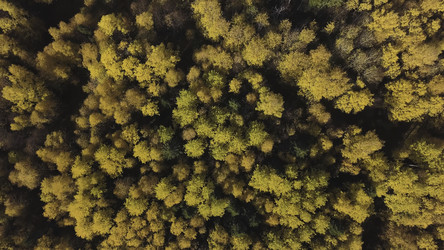 Similar image 22370080