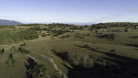 Similar image 22370406