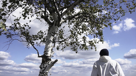 Similar image 22370419