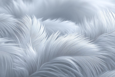 Similar image 22350054