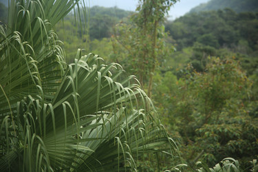 Similar image 22349605