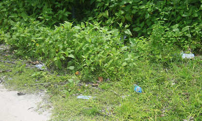 Similar image 22349606