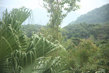 Similar image 22349608