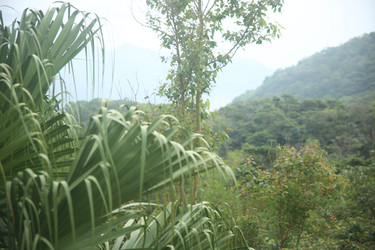 Similar image 22349609