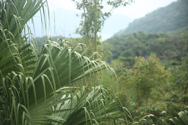 Similar image 22349610