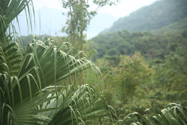 Similar image 22349611