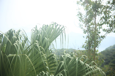 Similar image 22349612