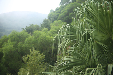 Similar image 22349613