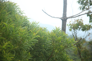 Similar image 22349614