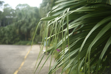 Similar image 22349615