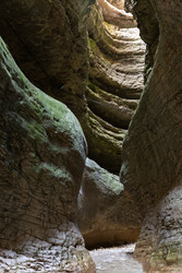 Similar image 22353513