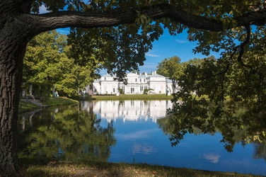 Similar image 22353540