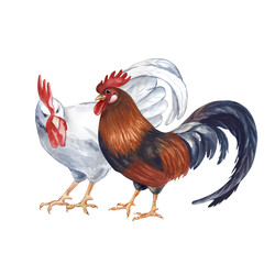 Similar image 22351257