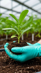 Similar image 22349138