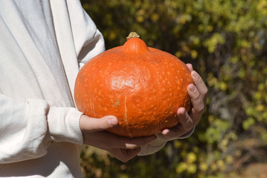 Similar image 22351299