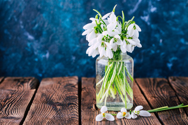 Similar image 22350659