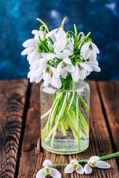 Similar image 22350669