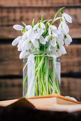 Similar image 22350670