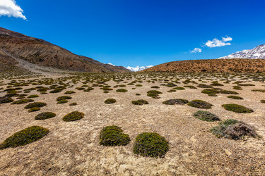 Similar image 22382307