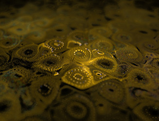 Similar image 22352298