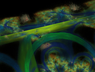 Similar image 22351575