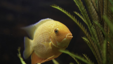 Similar image 22368940