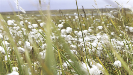 Similar image 22369017