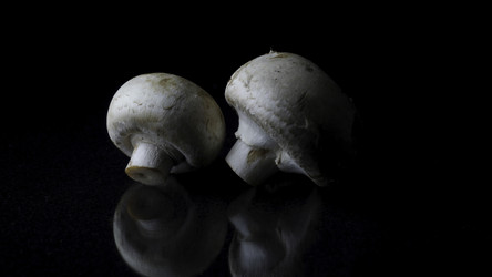 Similar image 22369031