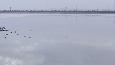 Similar image 22369153