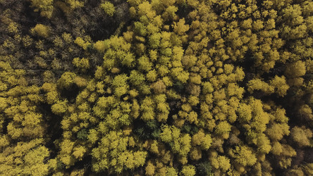 Similar image 22369333